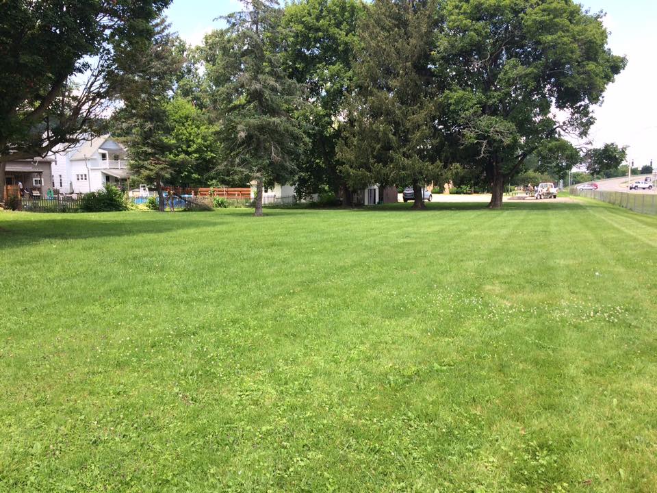 Just before mowing lawn in Hornell NY