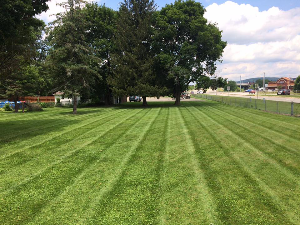 Just mowed lawn in Hornell NY Just mowed lawn in Hornell NY