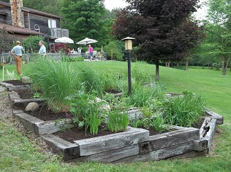 Ornamental grasses-after, Alfred New York Ornamental grasses-after, Alfred New York