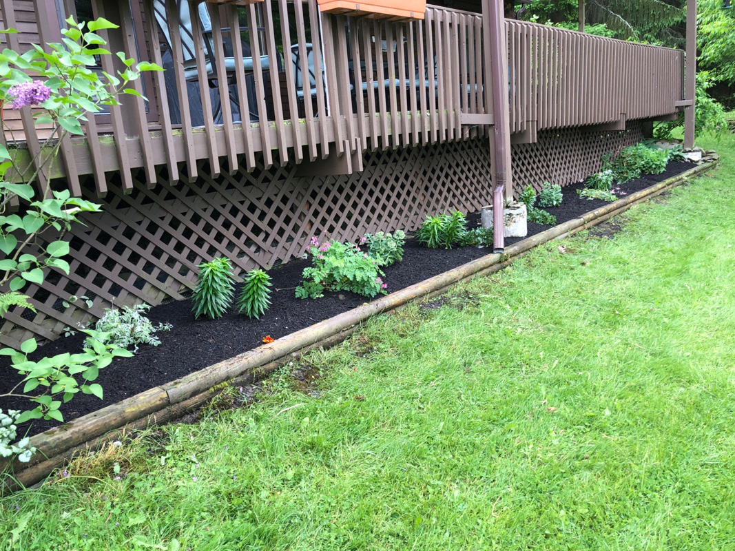Timber landscape bed after weeding and mulching Timber landscape bed after weeding and mulching